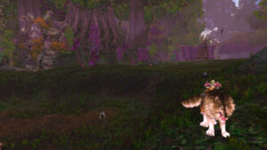 PvP Gear Guide for MoP Classic: How to Build the Best Arena Sets